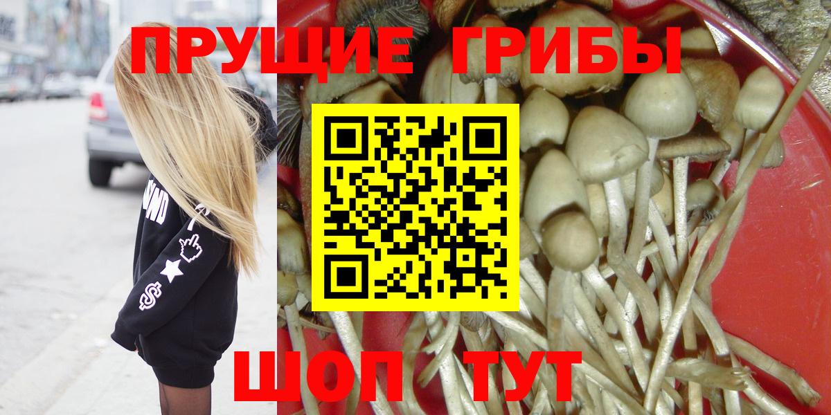 Псилоцибиновые грибы GOLDEN TEACHER  дарнет шоп  Орск  Вход с VPN 