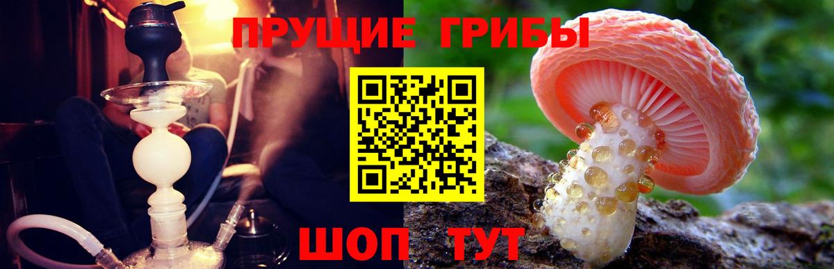 Псилоцибиновые грибы мицелий Орск
